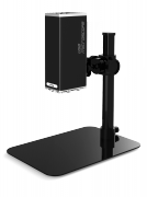 UM 12